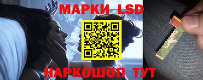прущие грибы Славгород