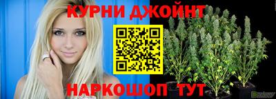 прущие грибы Славгород
