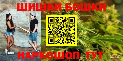 прущие грибы Славгород