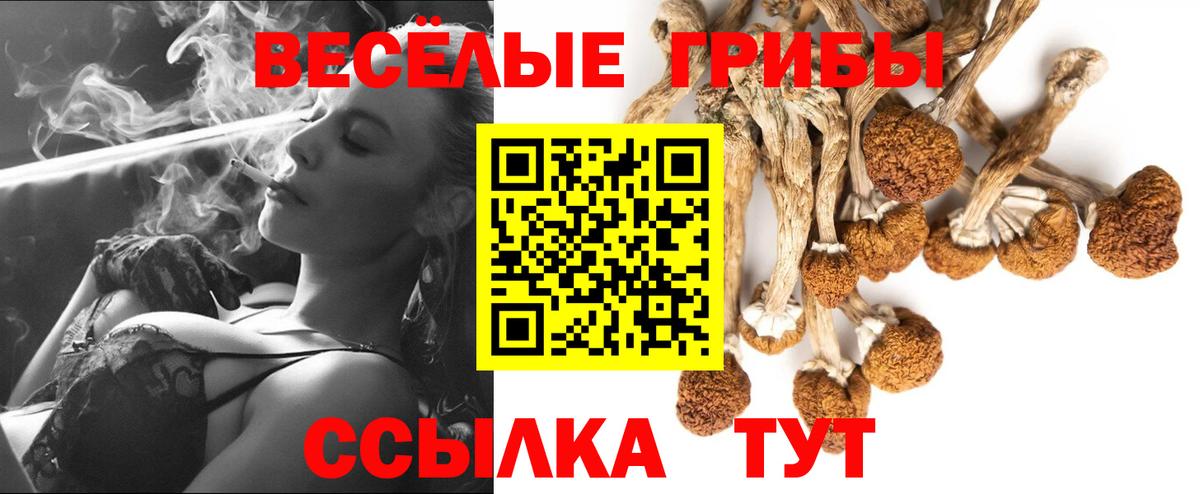 Псилоцибиновые грибы Psilocybine cubensis Ртищево
